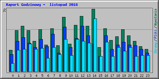 Raport Godzinowy -  listopad 2016