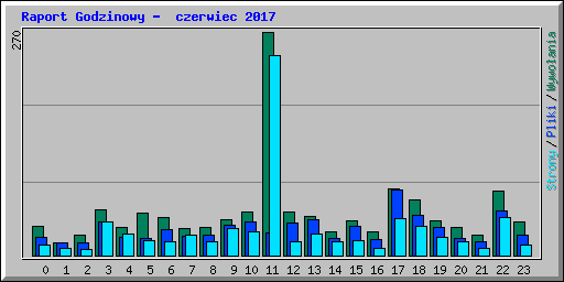 Raport Godzinowy -  czerwiec 2017