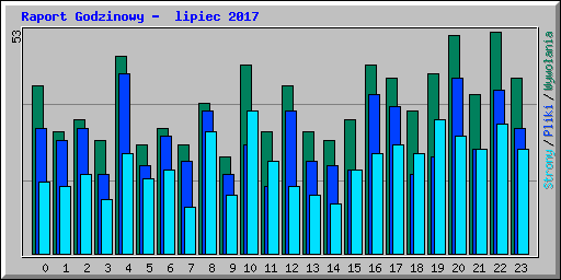 Raport Godzinowy -  lipiec 2017