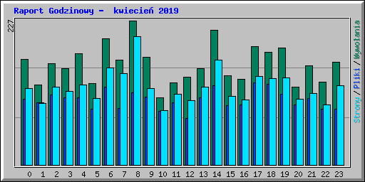 Raport Godzinowy -  kwiecie� 2019