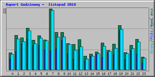 Raport Godzinowy -  listopad 2019