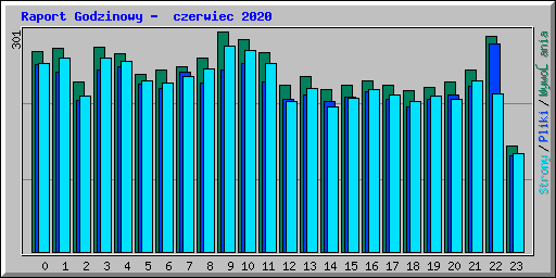 Raport Godzinowy -  czerwiec 2020