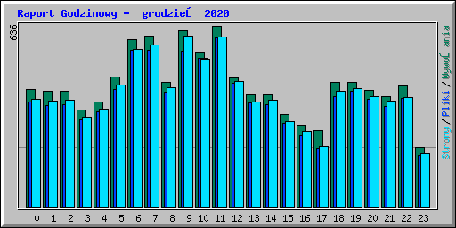 Raport Godzinowy -  grudzień 2020