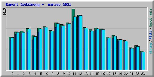 Raport Godzinowy -  marzec 2021