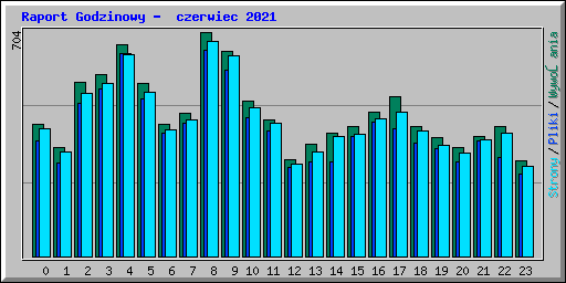 Raport Godzinowy -  czerwiec 2021