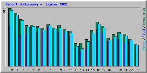 Raport Godzinowy -  lipiec 2021