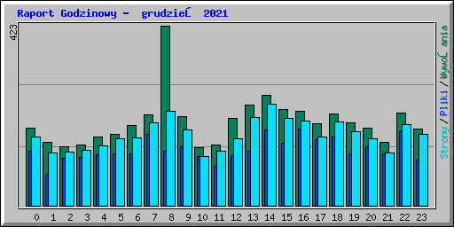 Raport Godzinowy -  grudzień 2021