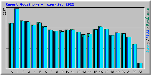 Raport Godzinowy -  czerwiec 2022