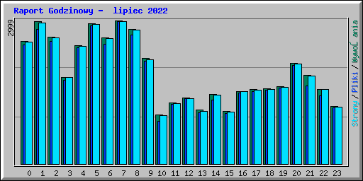 Raport Godzinowy -  lipiec 2022