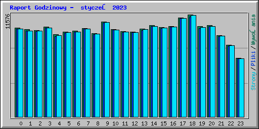 Raport Godzinowy -  styczeń 2023