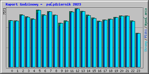 Raport Godzinowy -  październik 2023