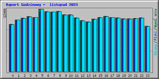 Raport Godzinowy -  listopad 2023