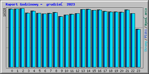 Raport Godzinowy -  grudzień 2023