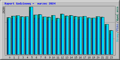 Raport Godzinowy -  marzec 2024