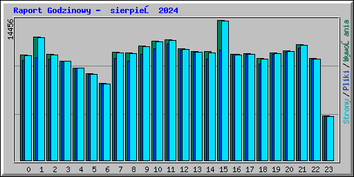 Raport Godzinowy -  sierpień 2024