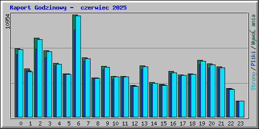 Raport Godzinowy -  czerwiec 2025