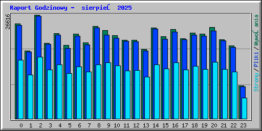 Raport Godzinowy -  sierpień 2025