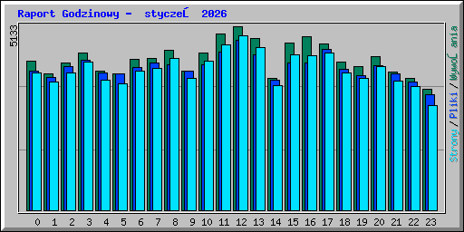 Raport Godzinowy -  styczeń 2026