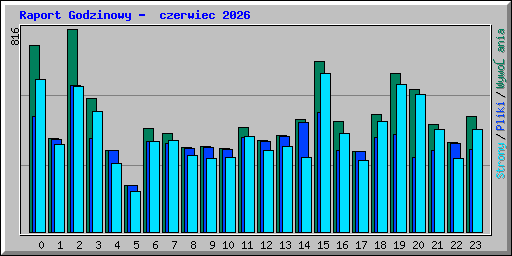 Raport Godzinowy -  czerwiec 2026